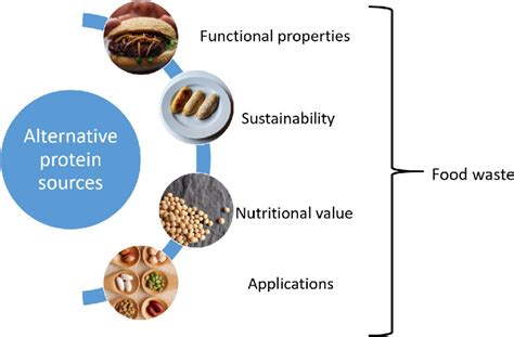  ゼイジンを未来の食品に！-持続可能な代替タンパク質源としての可能性を探る！